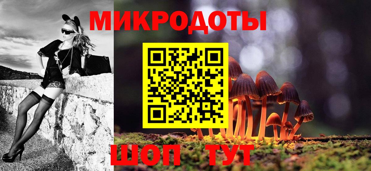 Псилоцибиновые грибы Psilocybine cubensis Кузнецк