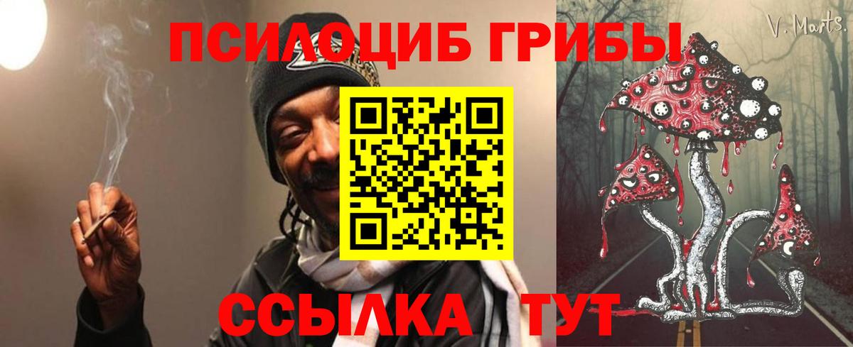 Кузнецк  даркнет сайт  Вход с VPN  Галлюциногенные грибы GOLDEN TEACHER  Галлюциногенные грибы Cubensis 
